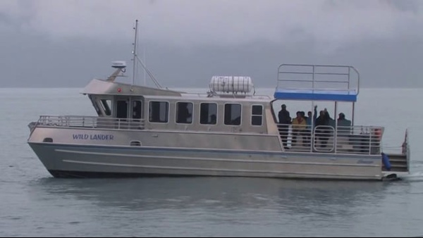 Marine Wildlife & Glacier Cruise