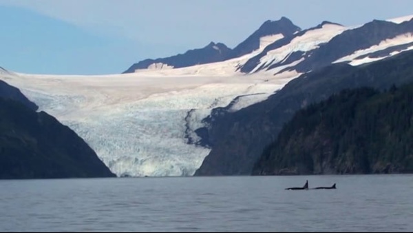 Kenai Fjords Glacier Lodge